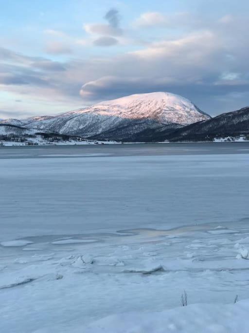 Trivelig Fritidshus Pa Arnes, Senja Straumstad Exteriér fotografie