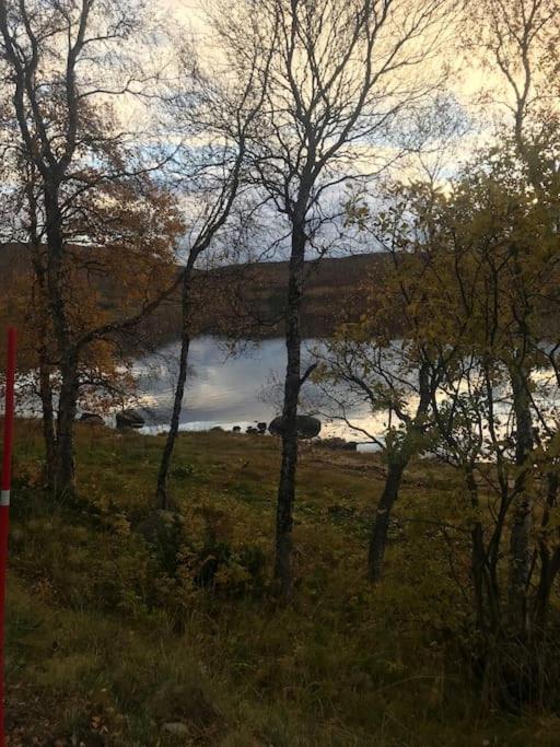 Trivelig Fritidshus Pa Arnes, Senja Straumstad Exteriér fotografie