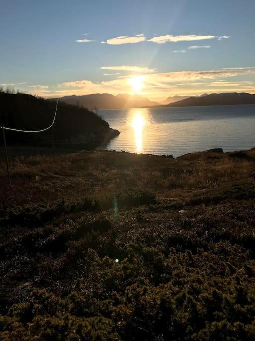 Trivelig Fritidshus Pa Arnes, Senja Straumstad Exteriér fotografie