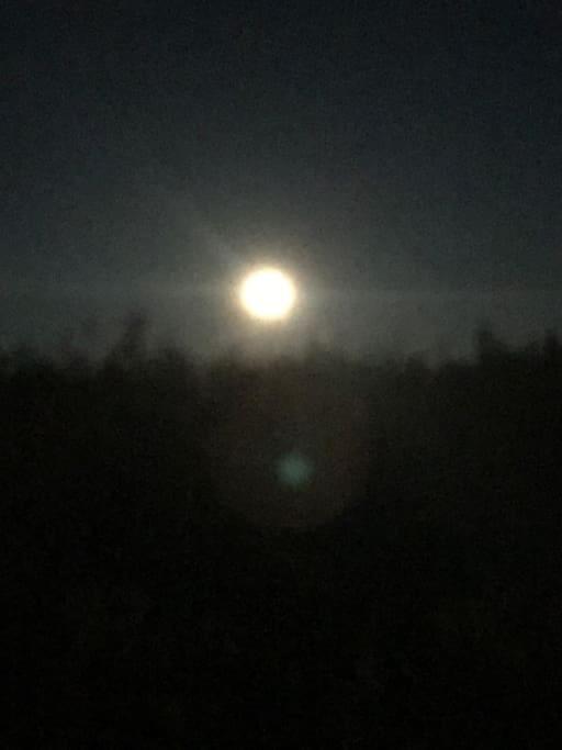 Trivelig Fritidshus Pa Arnes, Senja Straumstad Exteriér fotografie