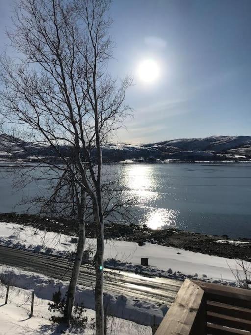 Trivelig Fritidshus Pa Arnes, Senja Straumstad Exteriér fotografie